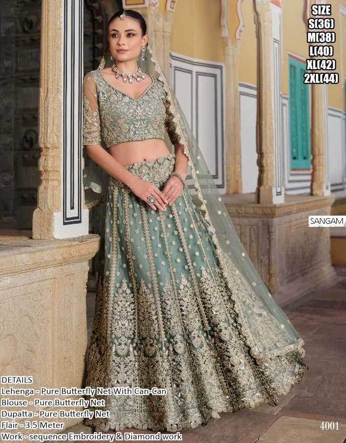 Butterfly Net Designer Lehenga Choli for Elegant Events - MYLUXURY LANE ENTERPRISE